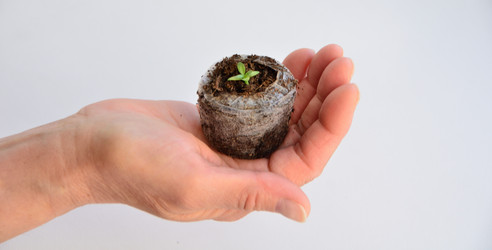 Similar image 21805015