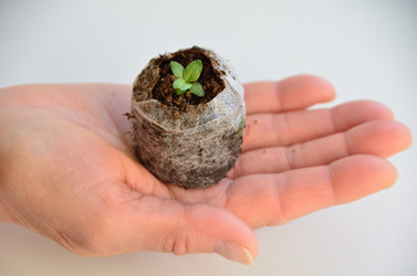 Similar image 21805016