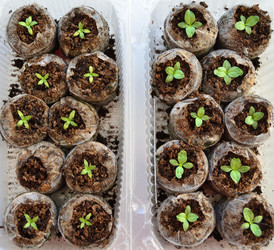 Similar image 21805017