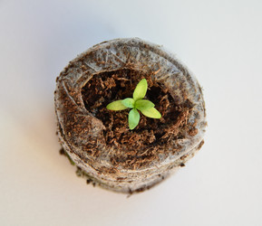 Similar image 21805018