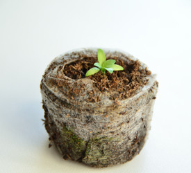 Similar image 21805019