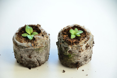 Similar image 21805020