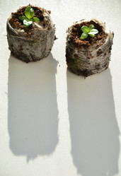 Similar image 21805021