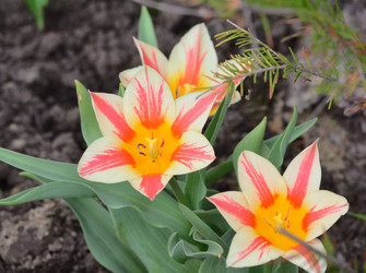 Similar image 21805026