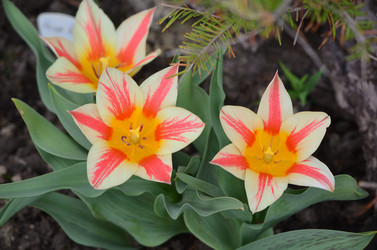 Similar image 21805027