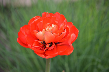 Similar image 21805028