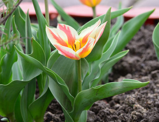 Similar image 21805029