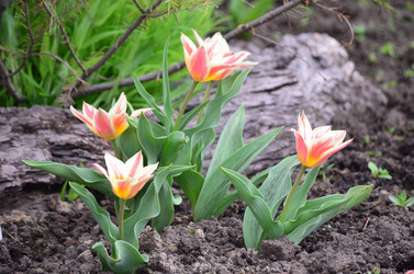 Similar image 21805030