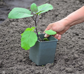 Similar image 21805034