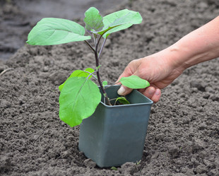 Similar image 21805035