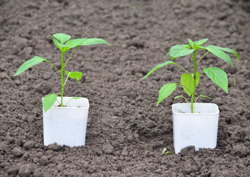 Similar image 21805036