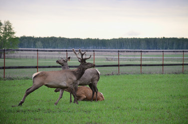 Similar image 21805039