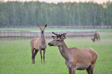 Similar image 21805040