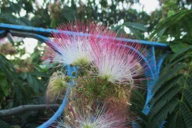 Similar image 21805685