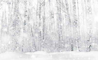 Similar image 21806950