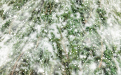 Similar image 21805301