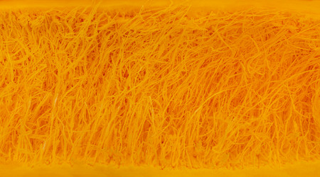 Similar image 21806952