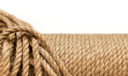 Similar image 21806955