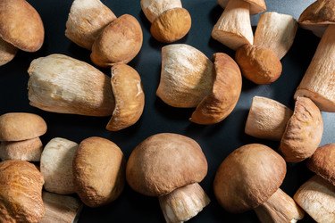 Similar image 21805048