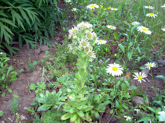 Similar image 21805444