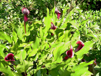 Similar image 21805445