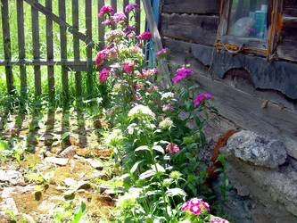 Similar image 21805446