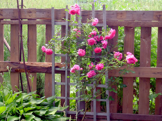 Similar image 21805448