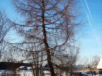 Similar image 21805449