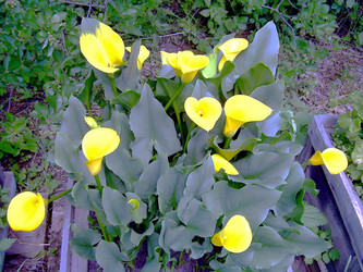 Similar image 21805450