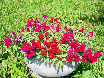 Similar image 21805451