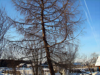 Similar image 21805453