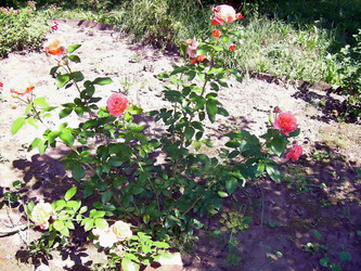 Similar image 21805454