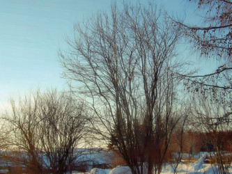 Similar image 21805455