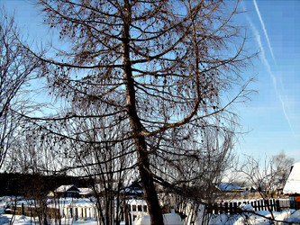 Similar image 21805457