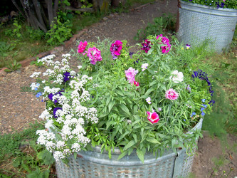 Similar image 21805458