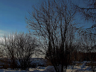 Similar image 21805459