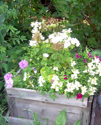 Similar image 21805460