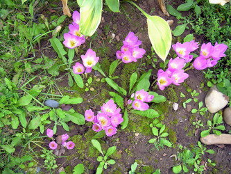 Similar image 21805465