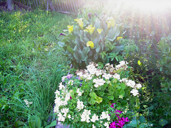 Similar image 21805466