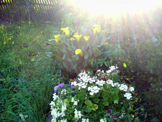 Similar image 21805468