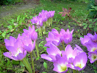 Similar image 21805469