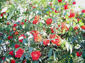 Similar image 21805470