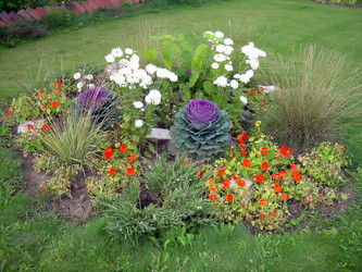 Similar image 21805472