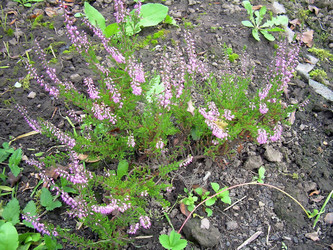 Similar image 21805475