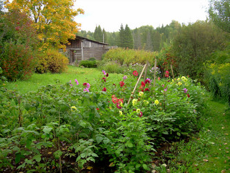 Similar image 21805477