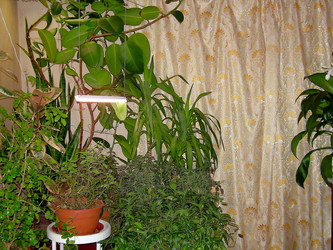 Similar image 21805479