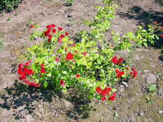 Similar image 21805482