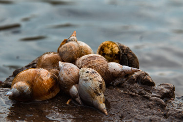 Similar image 21805066