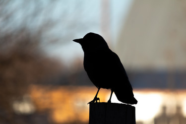 Similar image 21805068