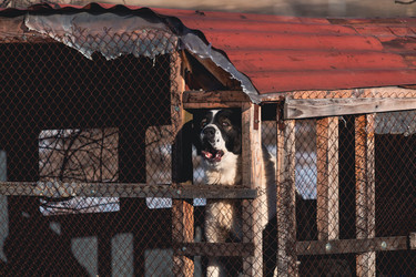 Similar image 21805070